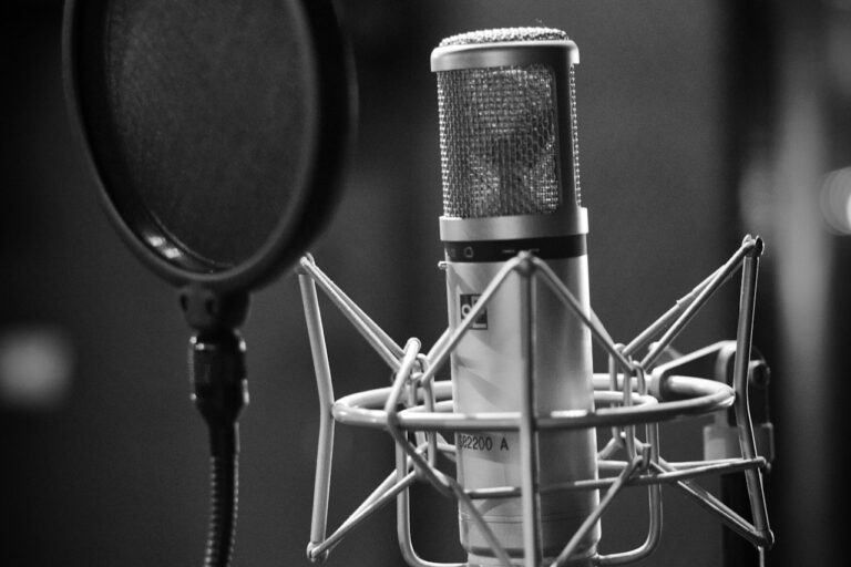 Studiový kondenzátorový mikrofon s pop filtrem, černobílá fotografie